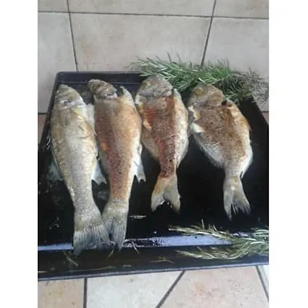 Casa de Férias Rab Paradise -3 Bedrooms 3 Bathrooms Palit