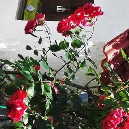 Rab Paradise -3 Bedrooms 3 Bathrooms Casa de Férias