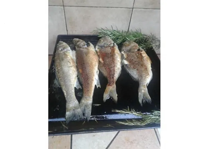 بيت للعطل Rab Paradise -3 Bedrooms 3 Bathrooms Palit