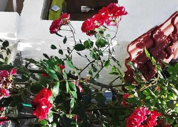 Rab Paradise -3 Bedrooms 3 Bathrooms بيت للعطل